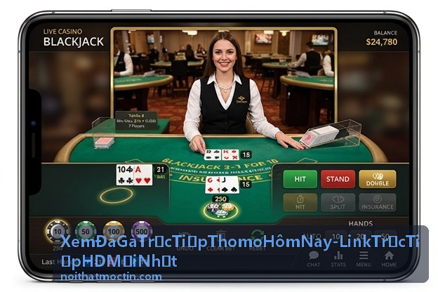 Video đá gà Thomo mới nhất